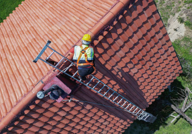 Best Asphalt Shingle Roofing  in Newton, MS